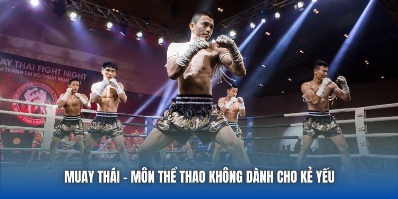 Muay Thái - Môn Thể Thao Không Dành Cho Kẻ Yếu