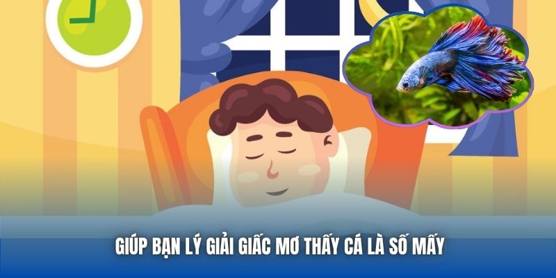 Giúp bạn lý giải giấc mơ thấy cá là số mấy